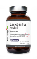 Lactobacillus reuteri 60 kaps